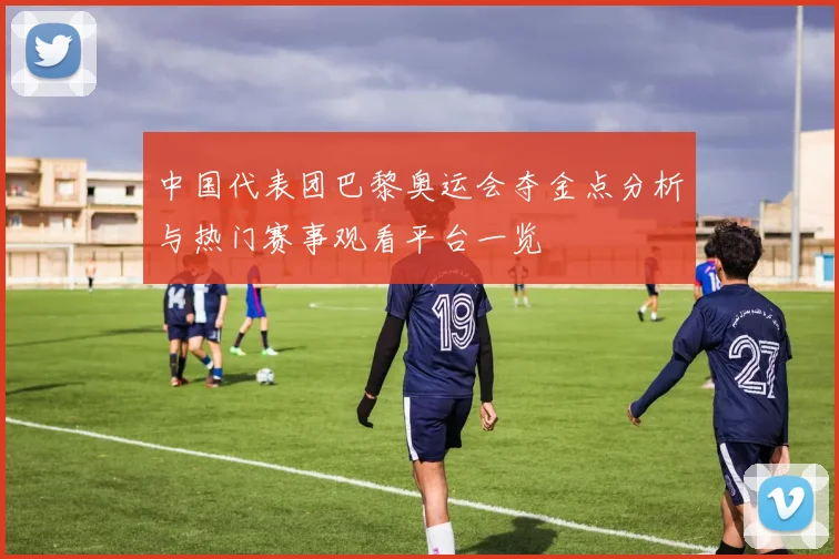 中国代表团巴黎奥运会夺金点分析与热门赛事观看平台一览