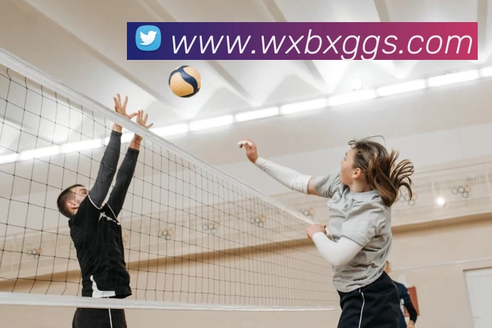 kaiyun开云官方网站 - 开云kaiyun(中国)平台生态图